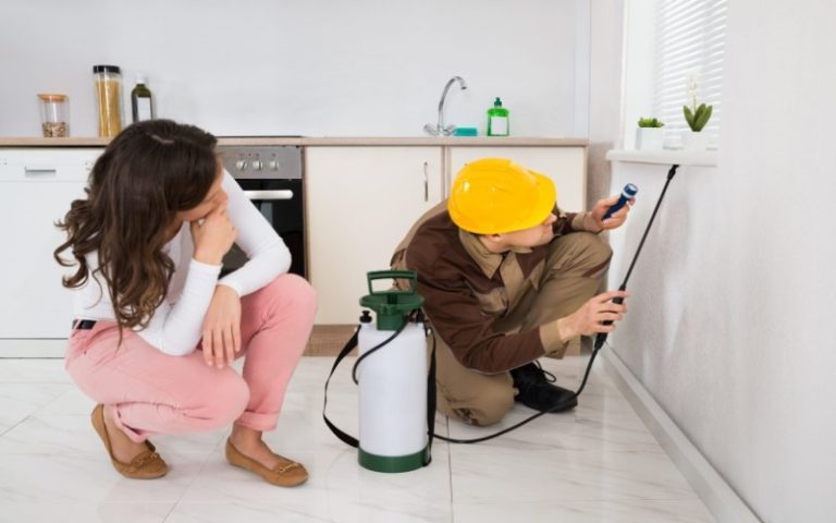 9 Steps to Pest-Proof Your Property